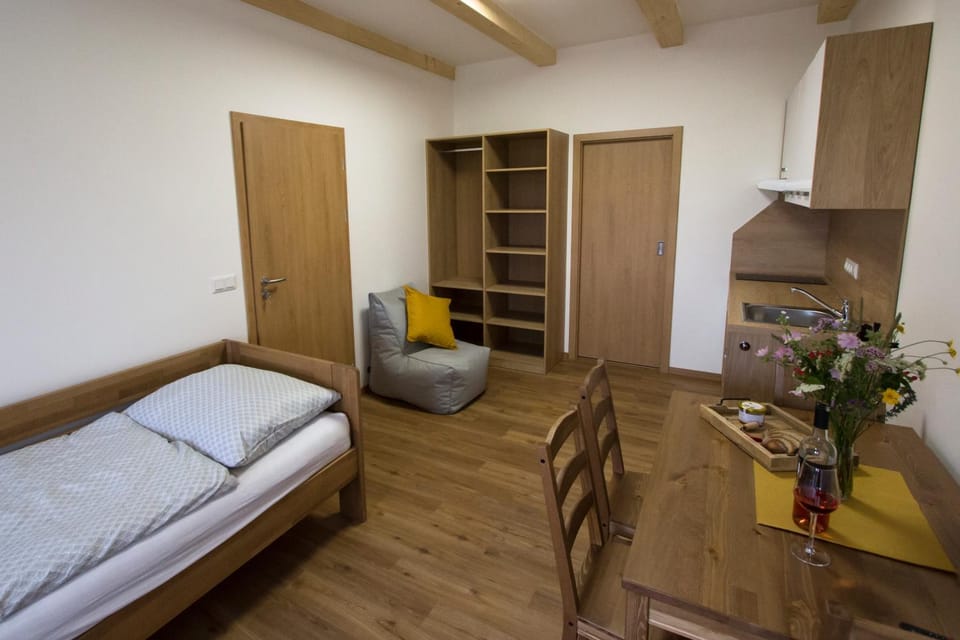 Penzion a sklep 7 vinařů Apartment in South Moravian Region