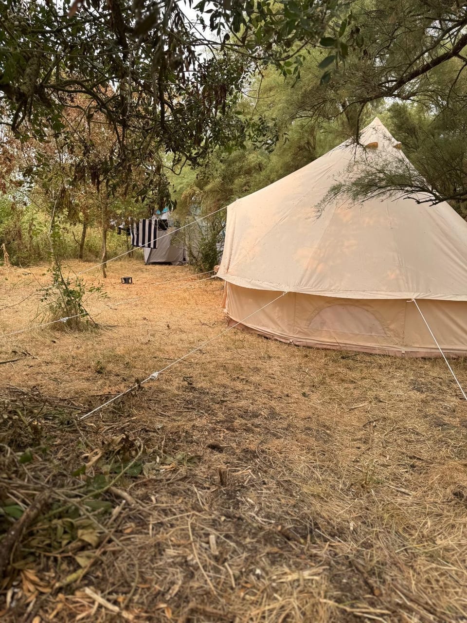 CAMPING ANIMAL KING Campground/ 
RV Resort in Nouvelle-Aquitaine