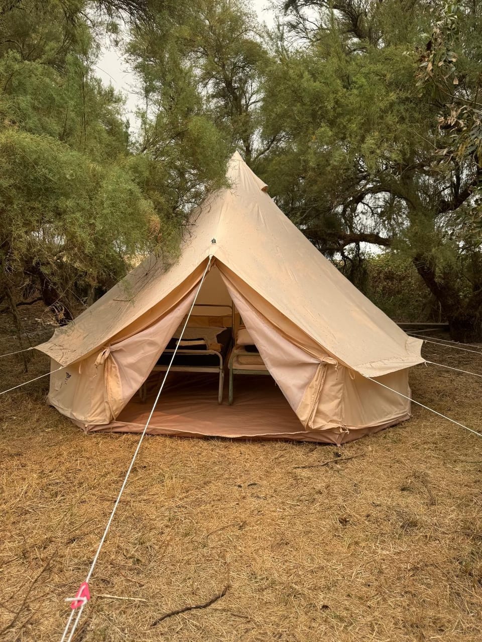 CAMPING ANIMAL KING Campground/ 
RV Resort in Nouvelle-Aquitaine