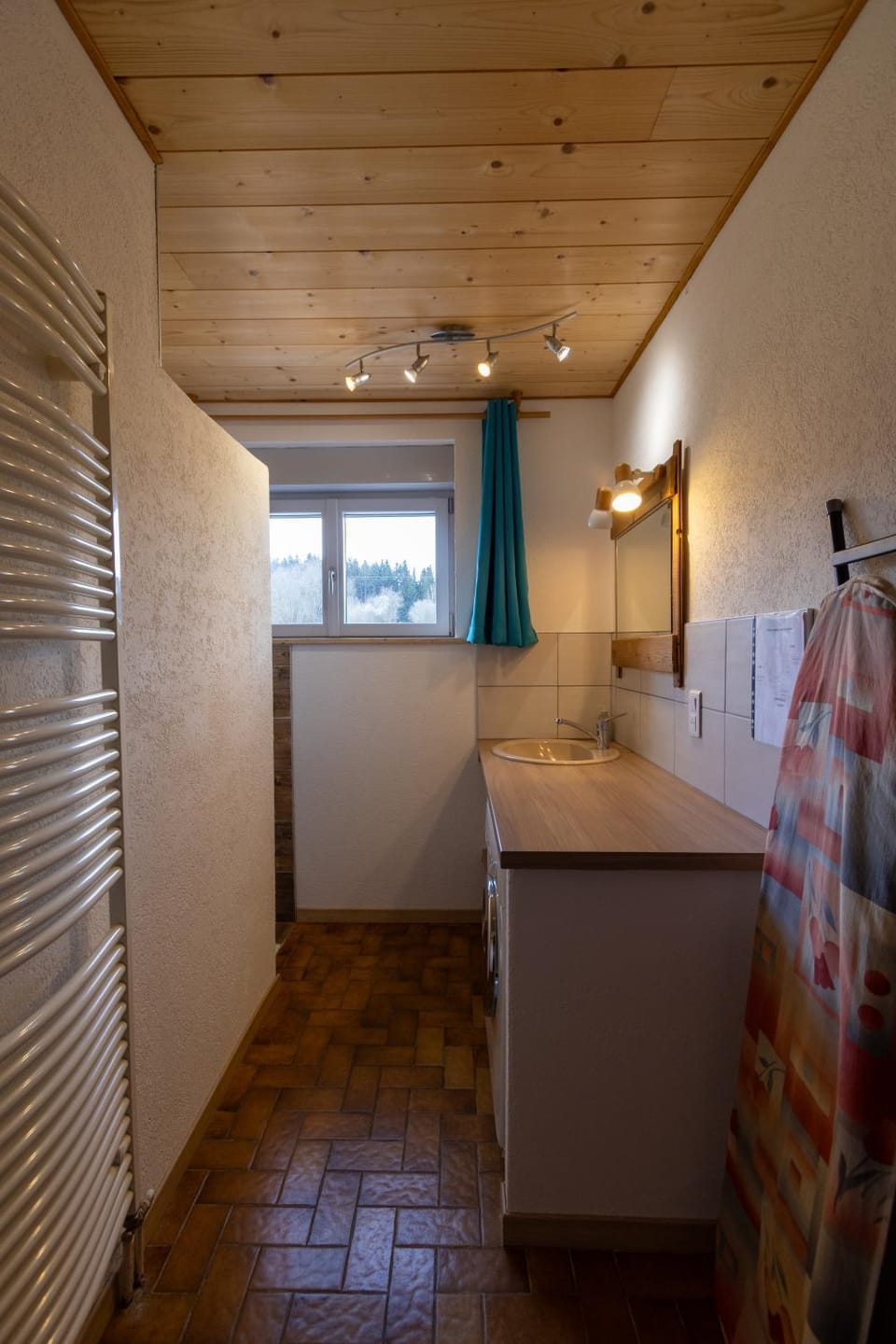 Bathroom, flat iron, washing machine
