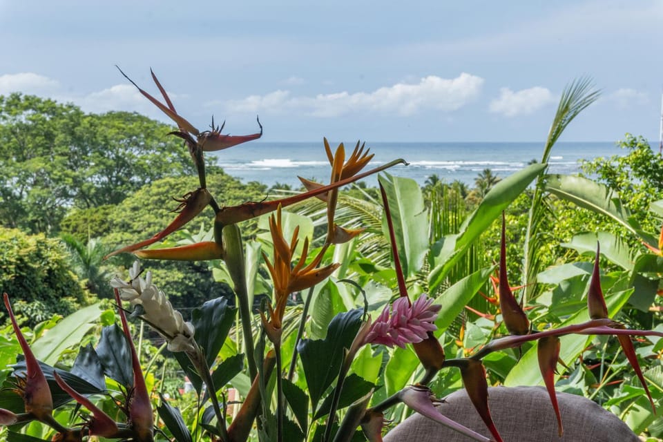 Garden, Sea view