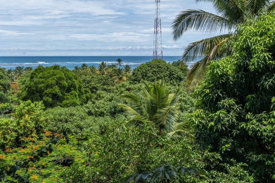 Garden, Sea view