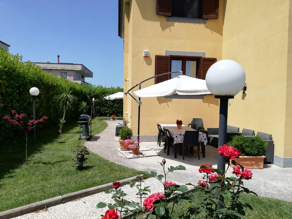 Patio, Garden
