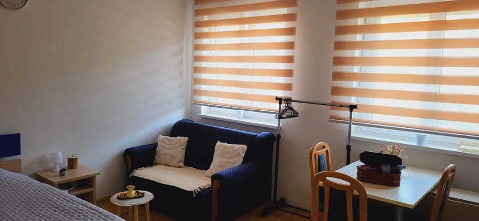 Apartman Ana Apartment in Serbia