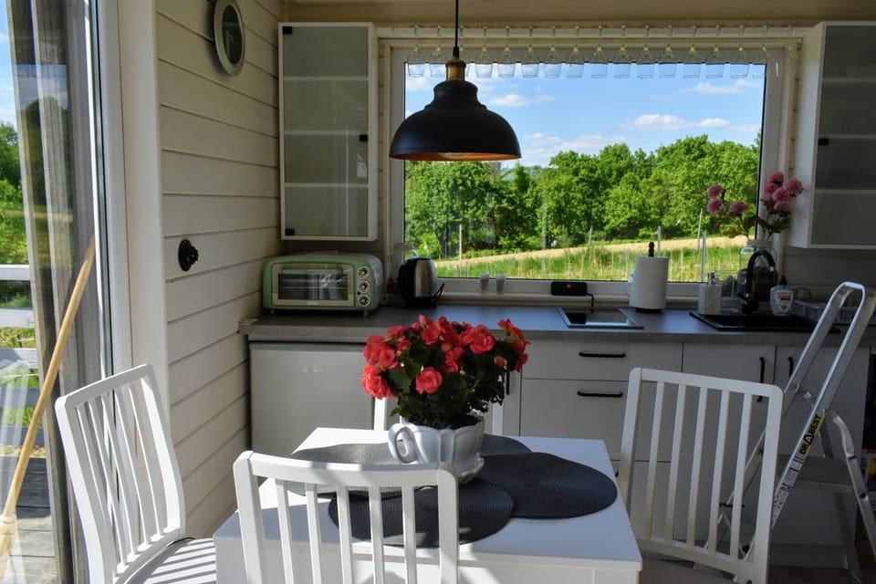 Kitchen or kitchenette, Dining area, pet friendly
