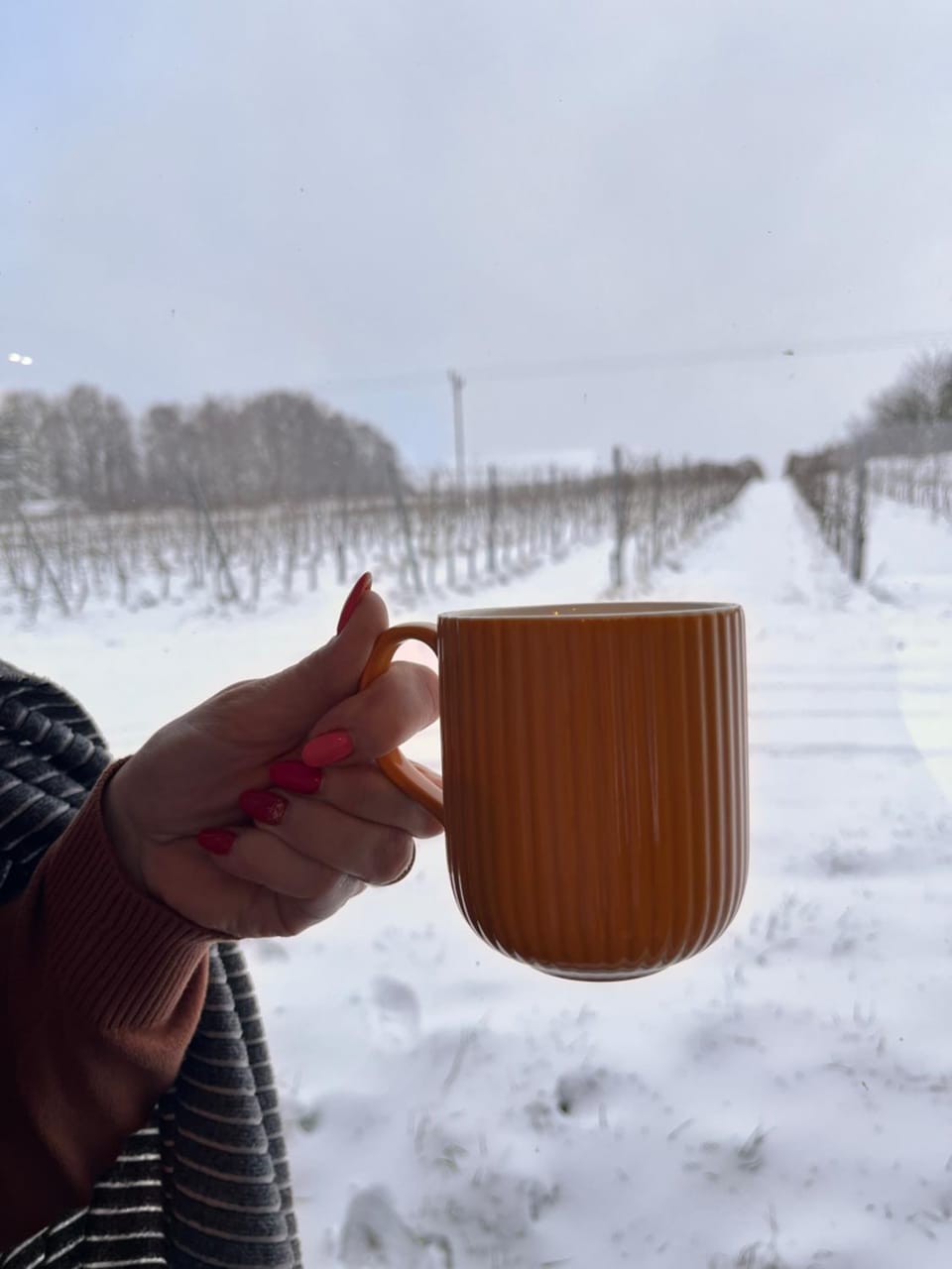 Day, Natural landscape, Winter