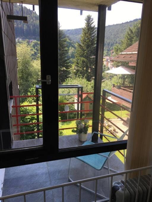 Natural landscape, View (from property/room), Balcony/Terrace, Mountain view