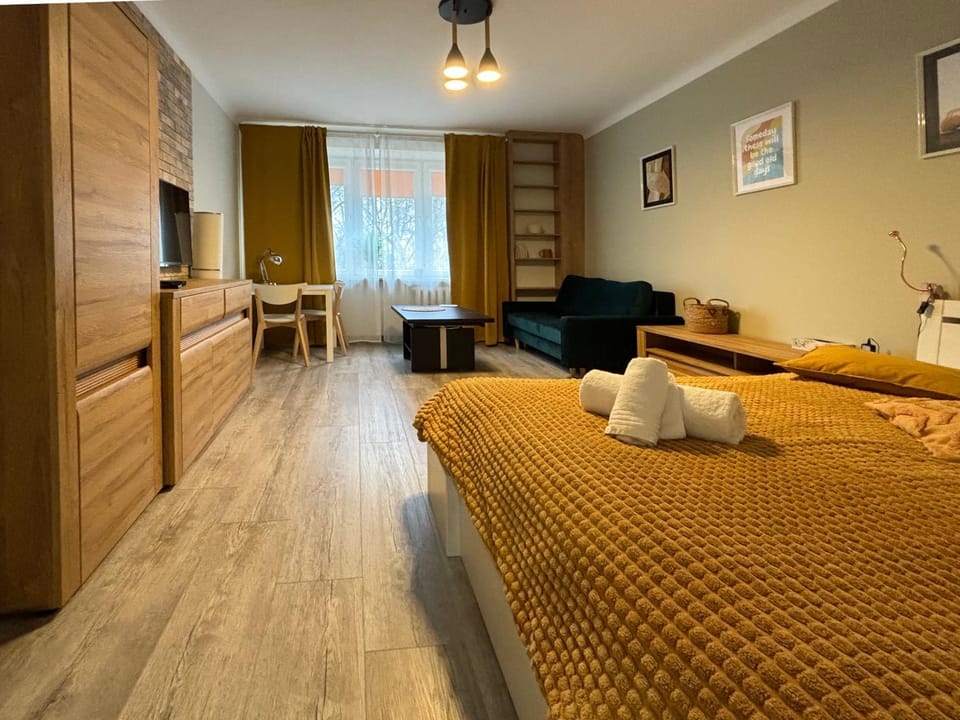 Bed, Photo of the whole room, Seating area, Bedroom, wardrobe