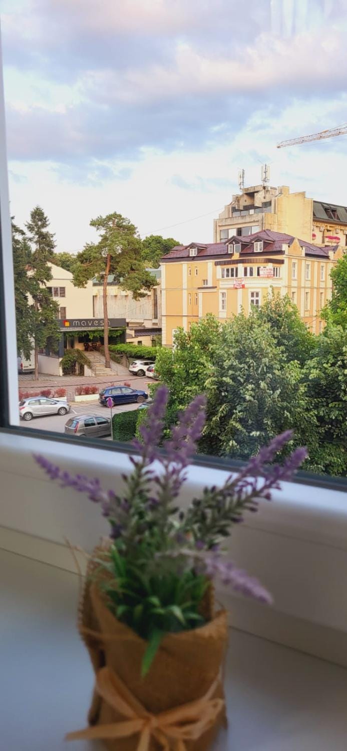 Apartman Marta Apartment in Serbia