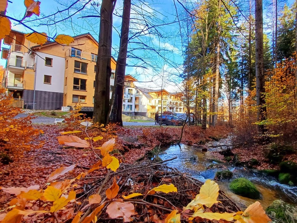 Apartamenty nad Złotym Potokiem Apartment in Lower Silesian Voivodeship