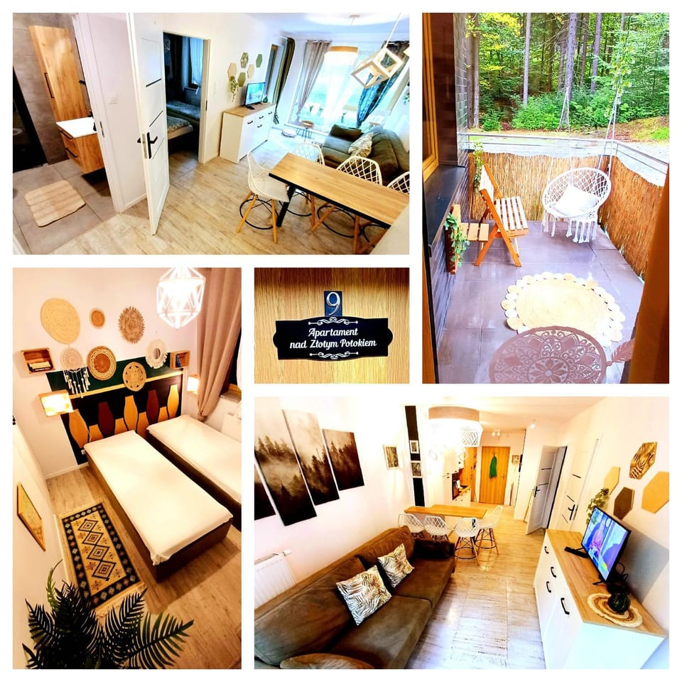 Apartamenty nad Złotym Potokiem Apartment in Lower Silesian Voivodeship