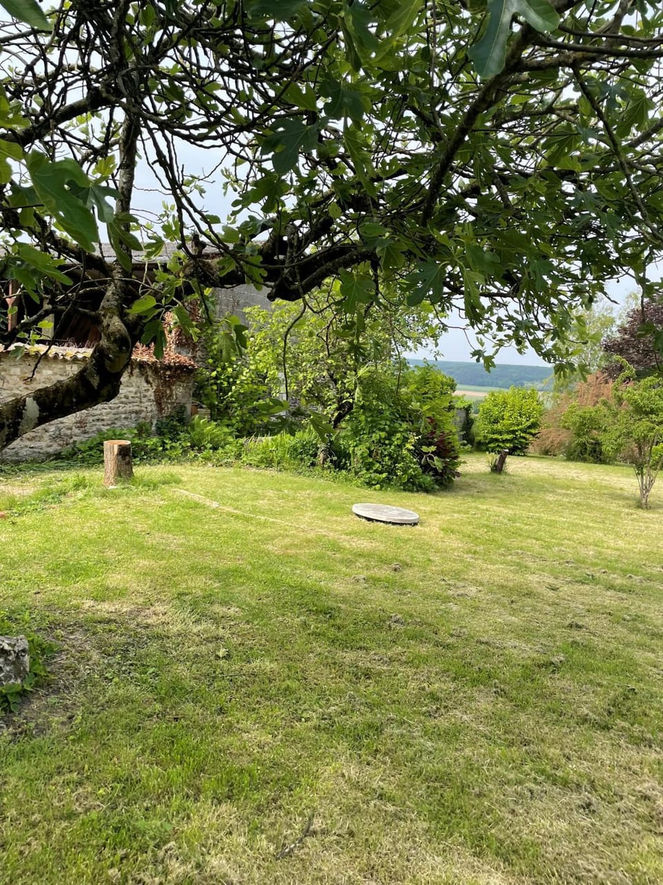 Natural landscape, Garden, View (from property/room)