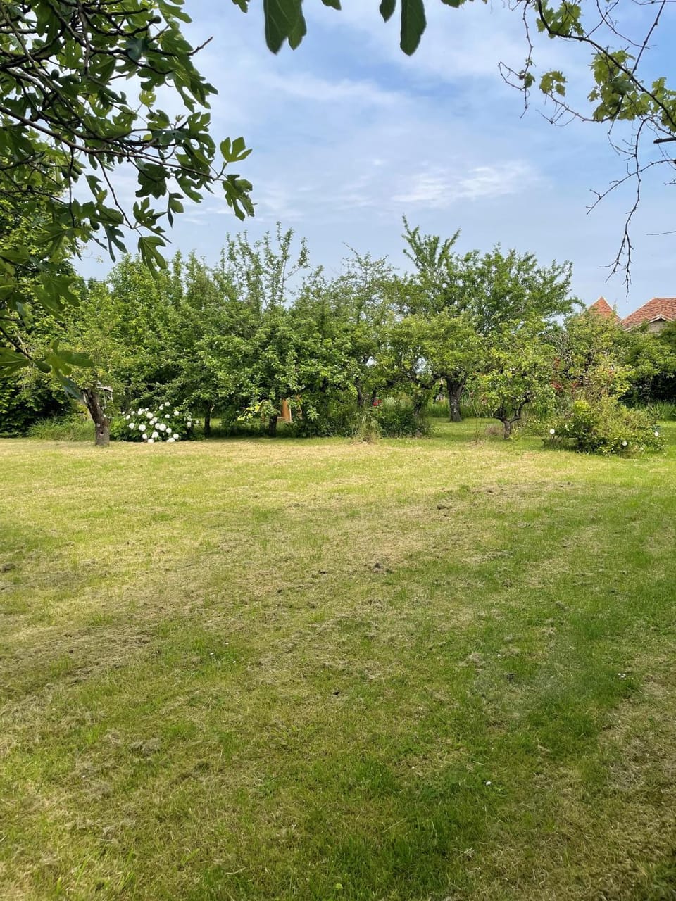Natural landscape, Garden view