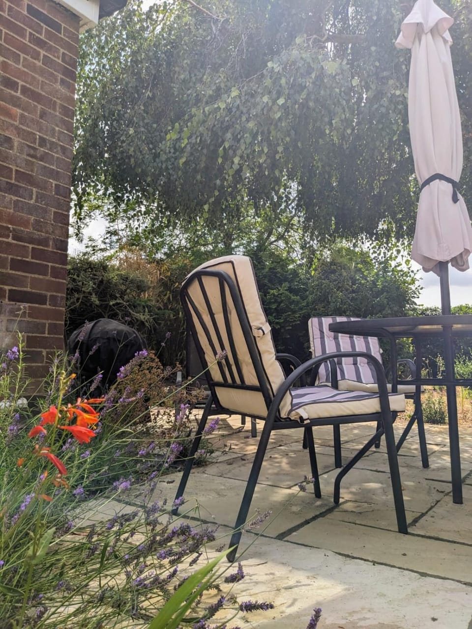 Patio, Garden, Seating area, Dining area