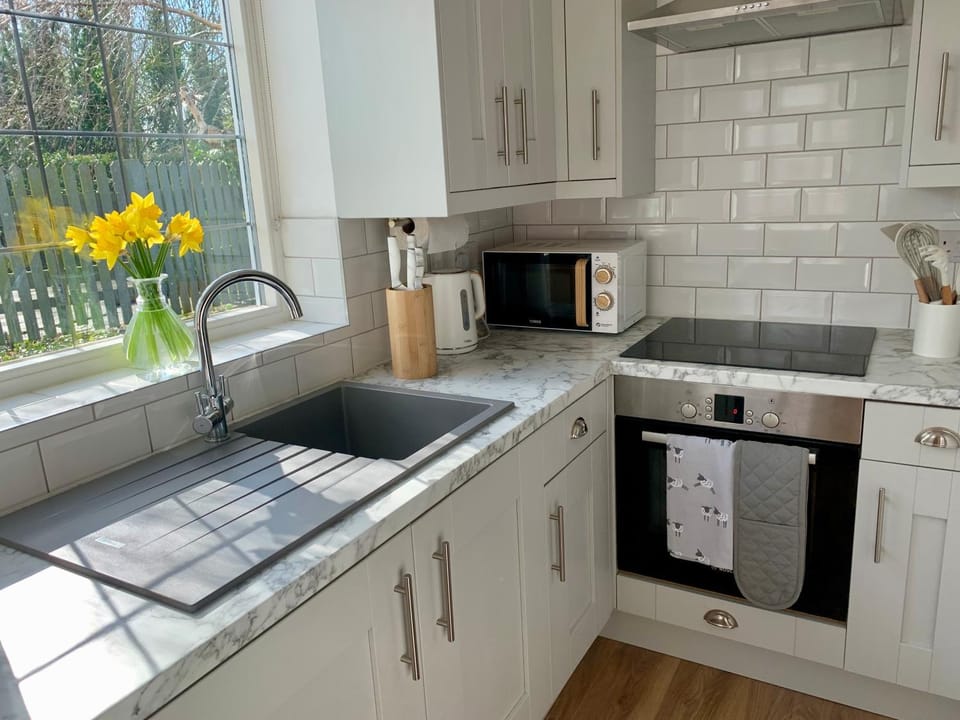 Kitchen or kitchenette, minibar, pet friendly, stove, kitchen