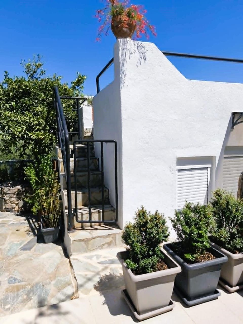 Irini Apartment Apartment in Lasithi