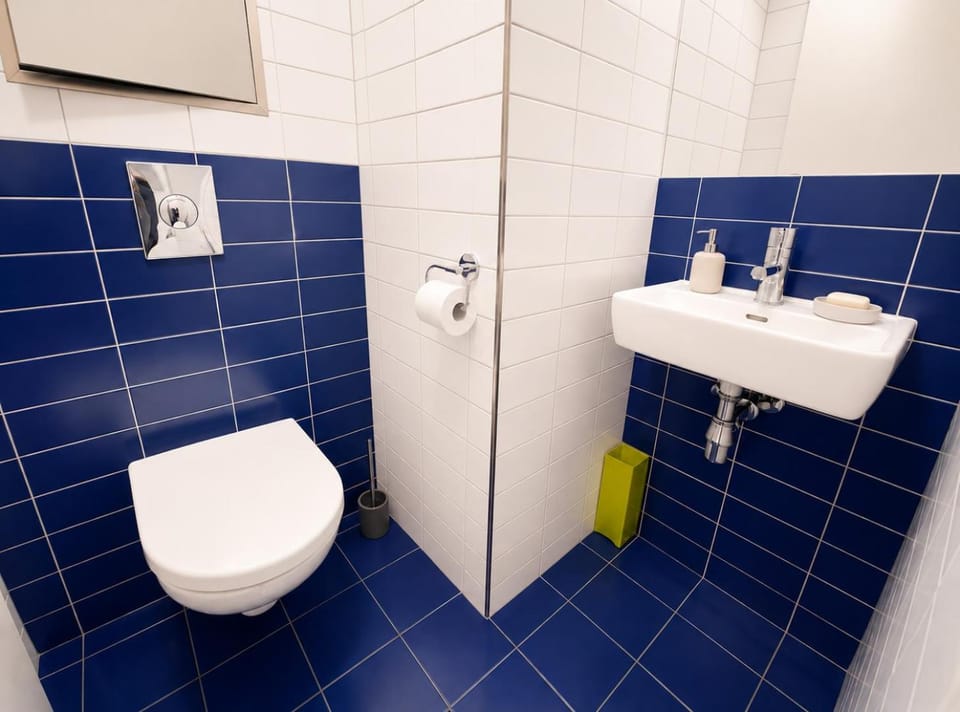 Shower, Toilet, Bathroom, bidet