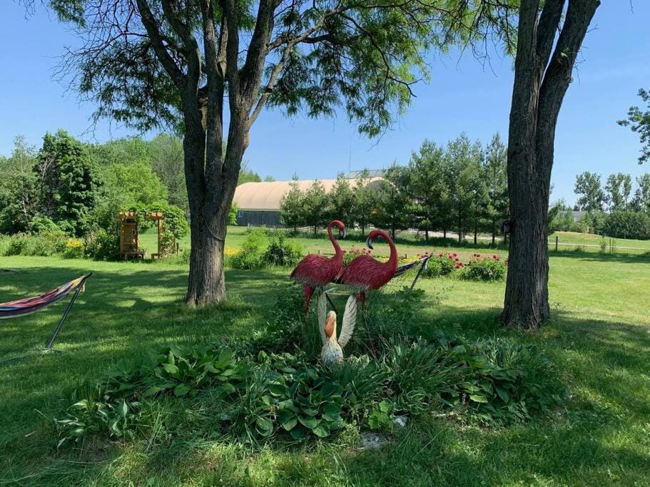Garden, Garden view
