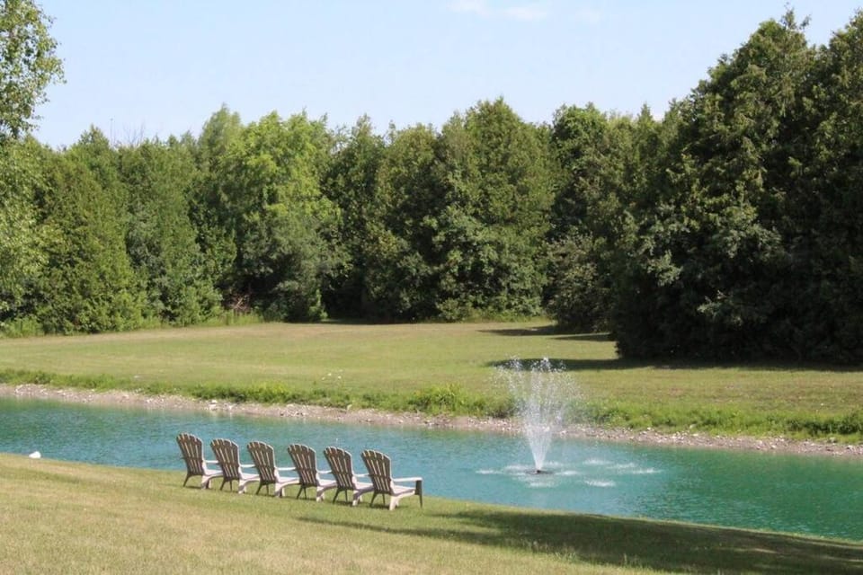 Natural landscape, Garden