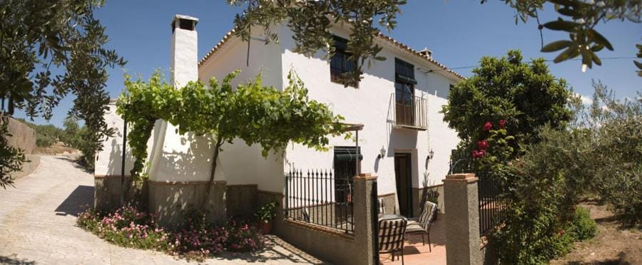 Property building, Garden view