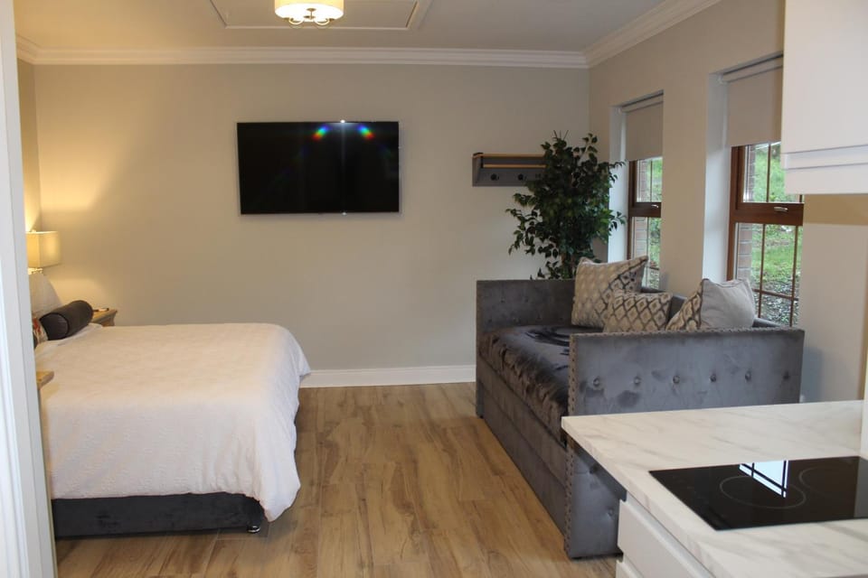 Communal lounge/ TV room, Bed, TV and multimedia, Photo of the whole room, Seating area, Bedroom