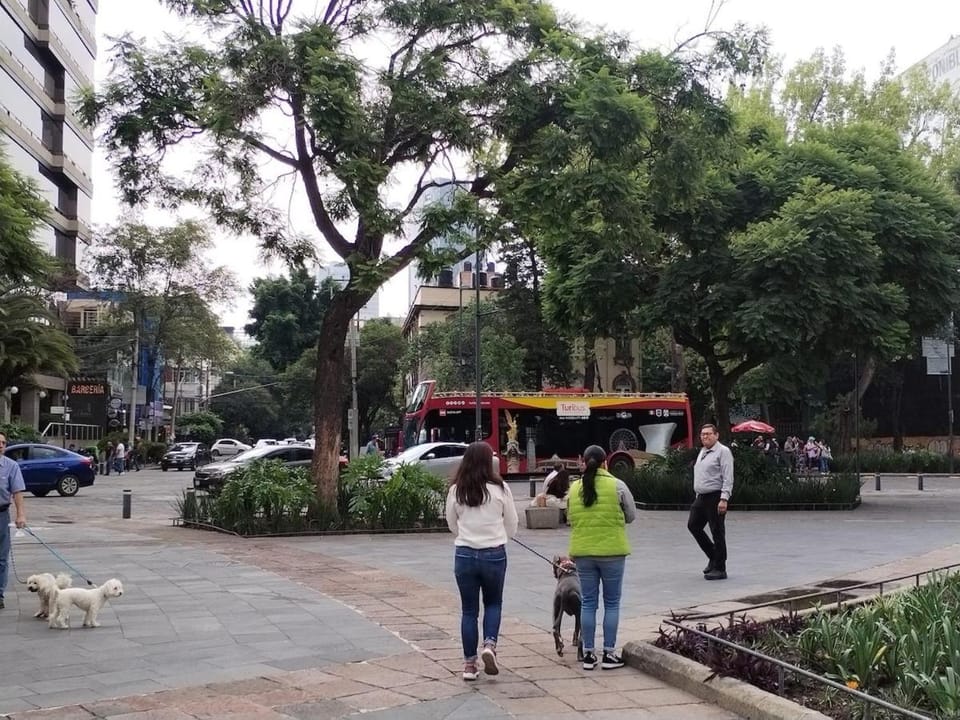 Extraordinaria Casa dentro del corazón de la Roma Norte CDMX Apartment in Mexico City