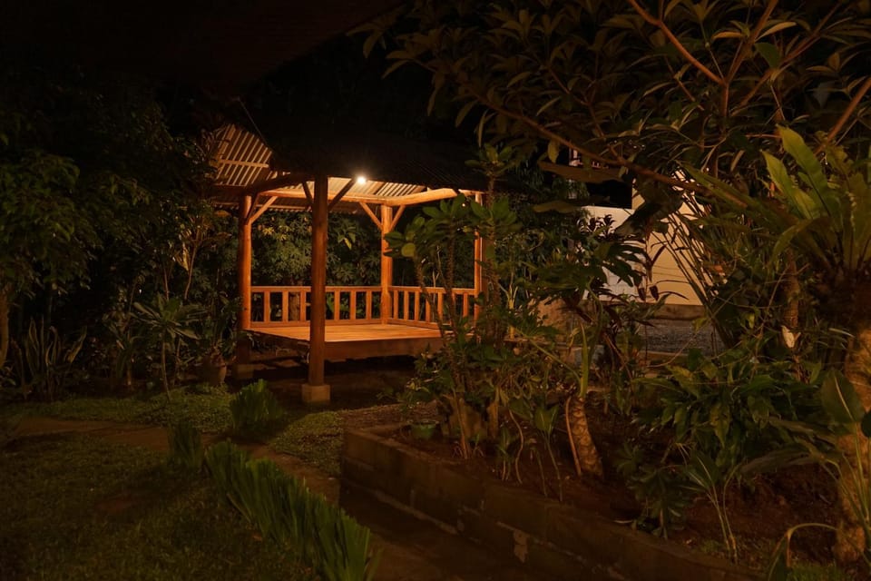 Night, Garden view