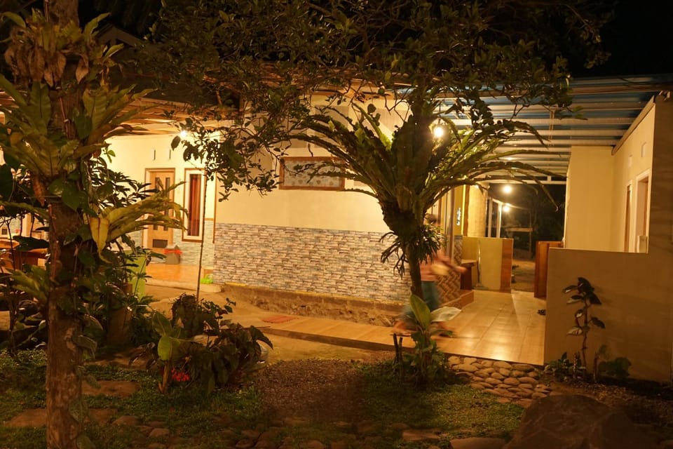 Night, Garden view