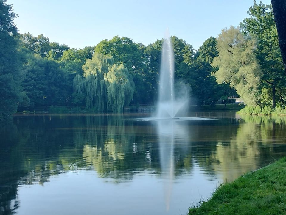 Natural landscape