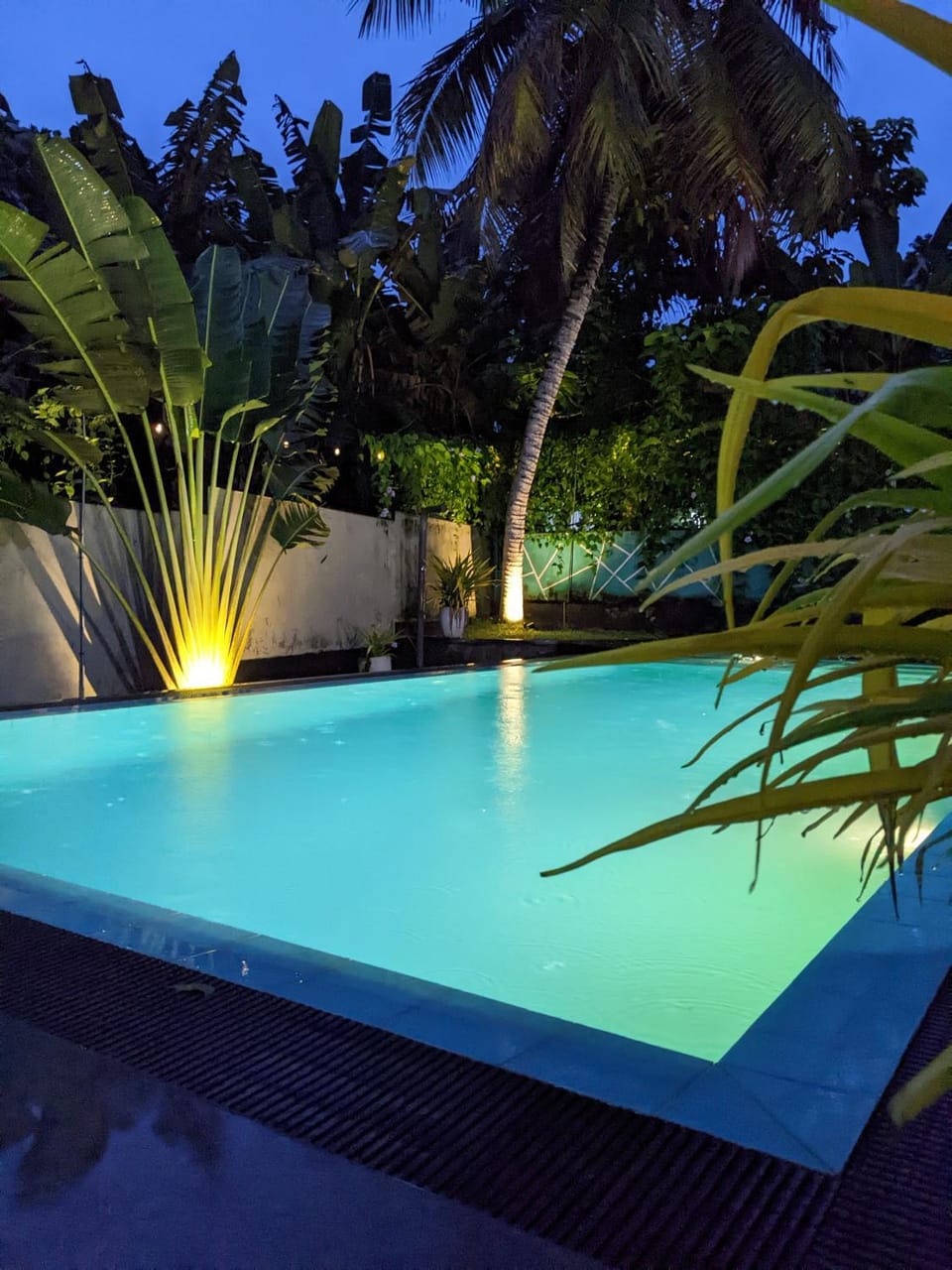 Night, Garden view, Pool view, Swimming pool