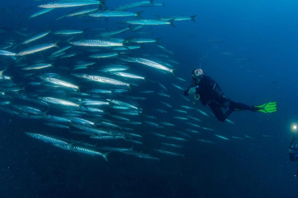 Diving