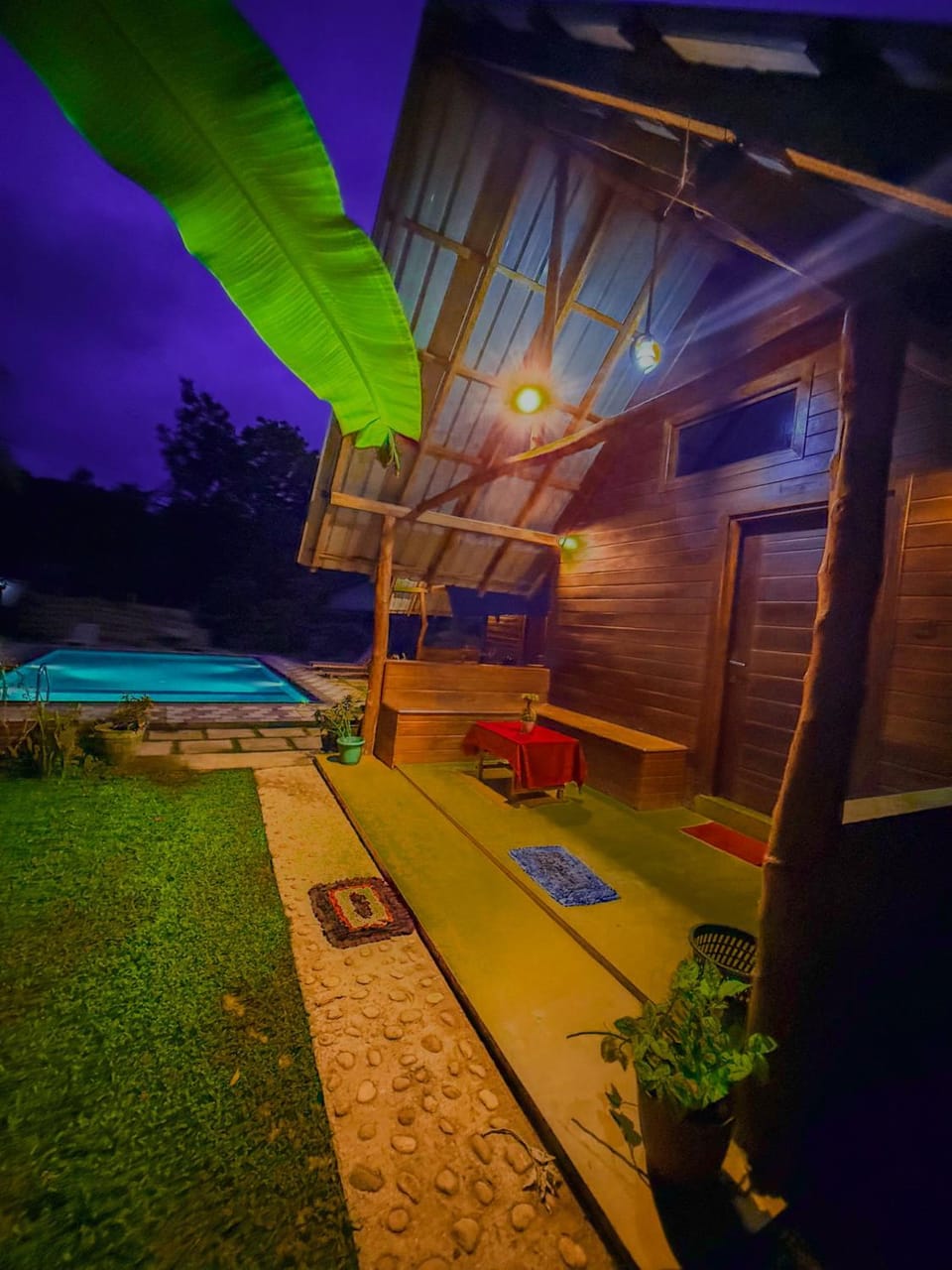 Patio, Garden, Swimming pool