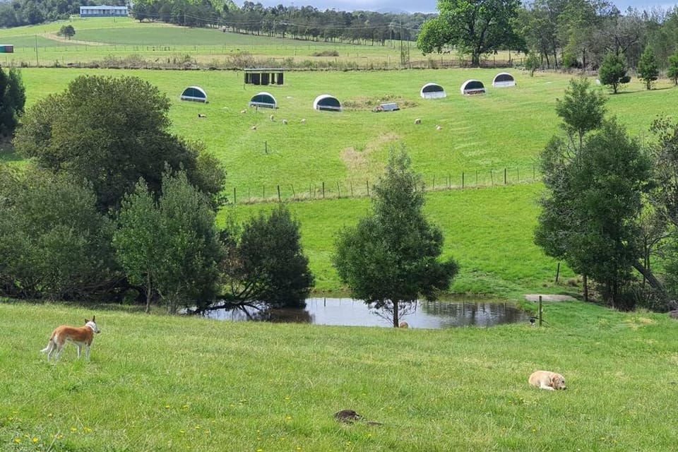 Valley Farm Stay House in Western Cape