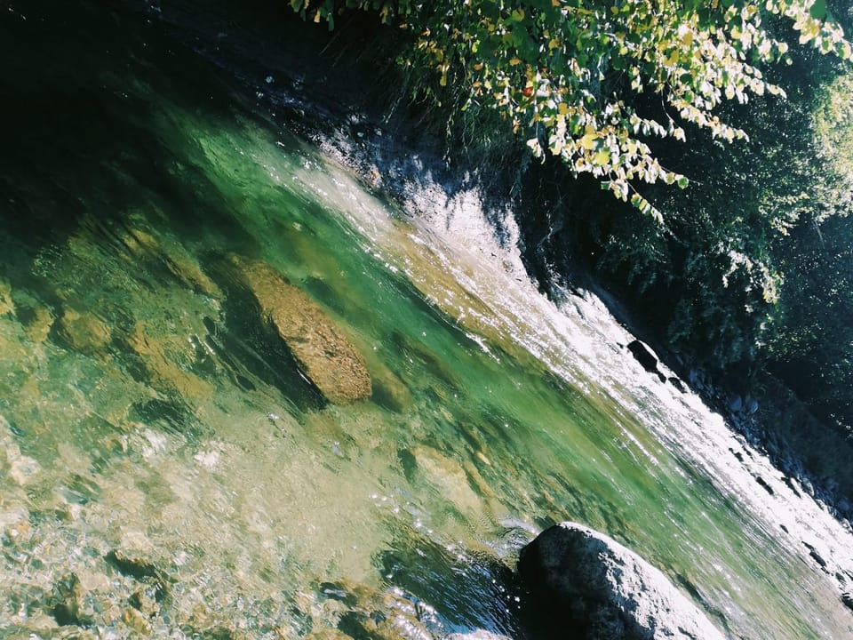 Natural landscape, Garden, River view
