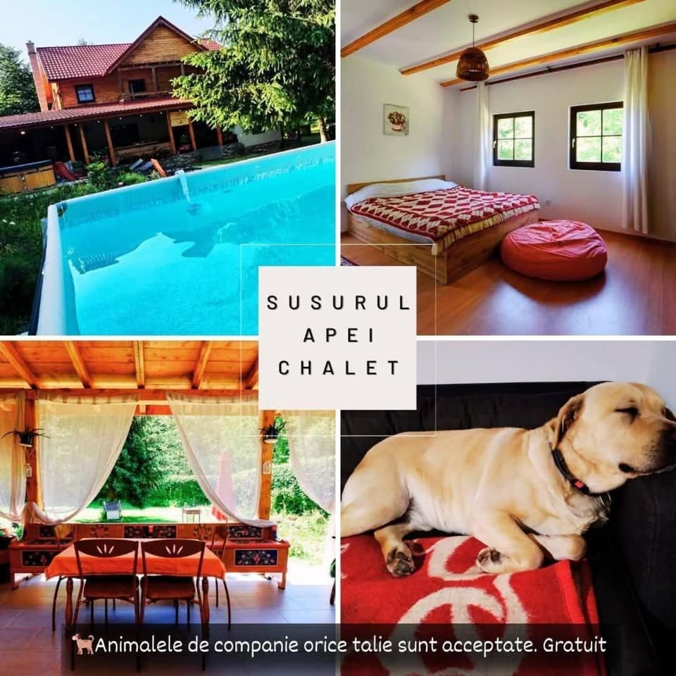 Susurul Apei Chalet Chalet in Romania