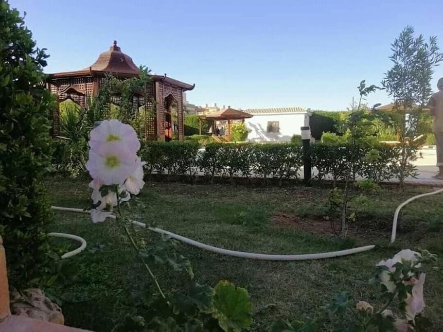 Garden, Garden, Balcony/Terrace