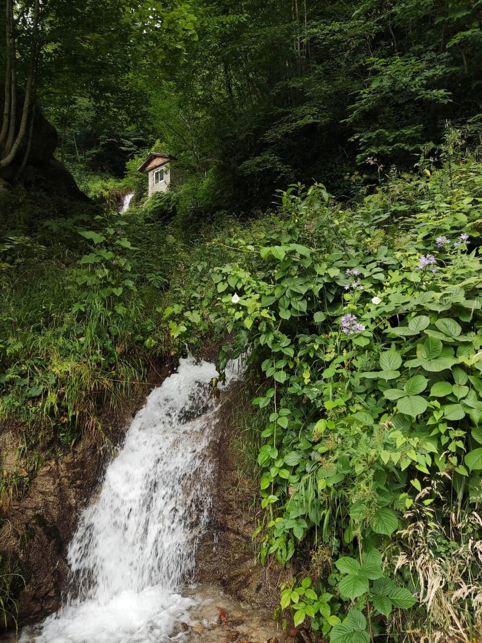 Natural landscape