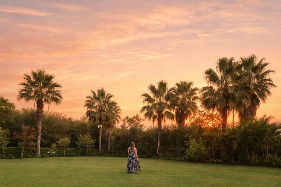 People, Natural landscape, Garden, Sunset