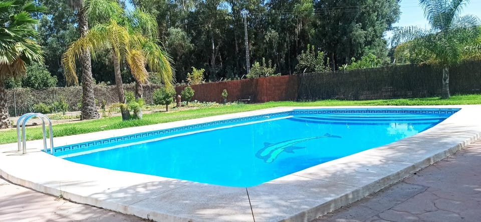 Day, Garden, Garden view, Pool view, Swimming pool