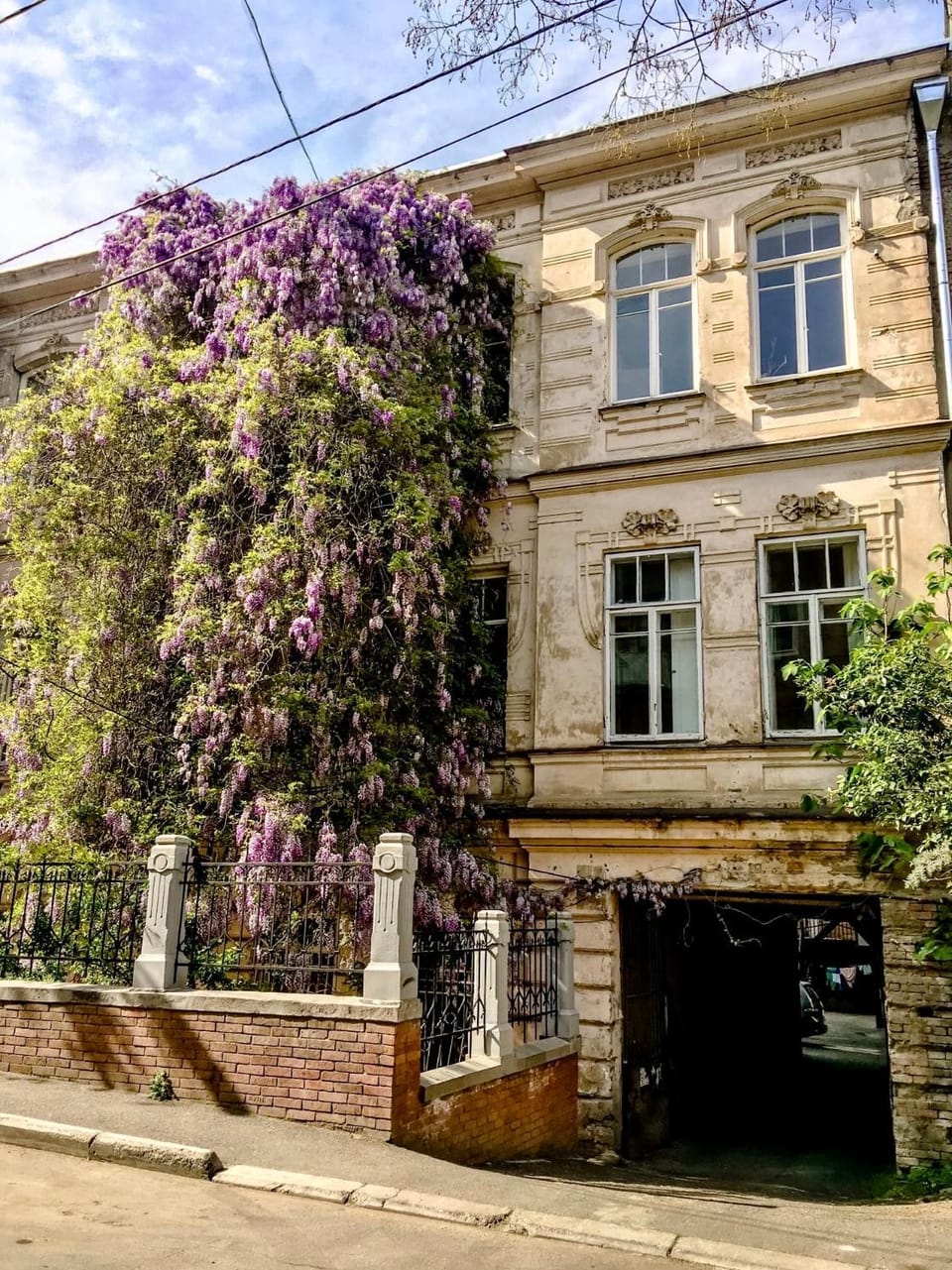 Property building, Garden