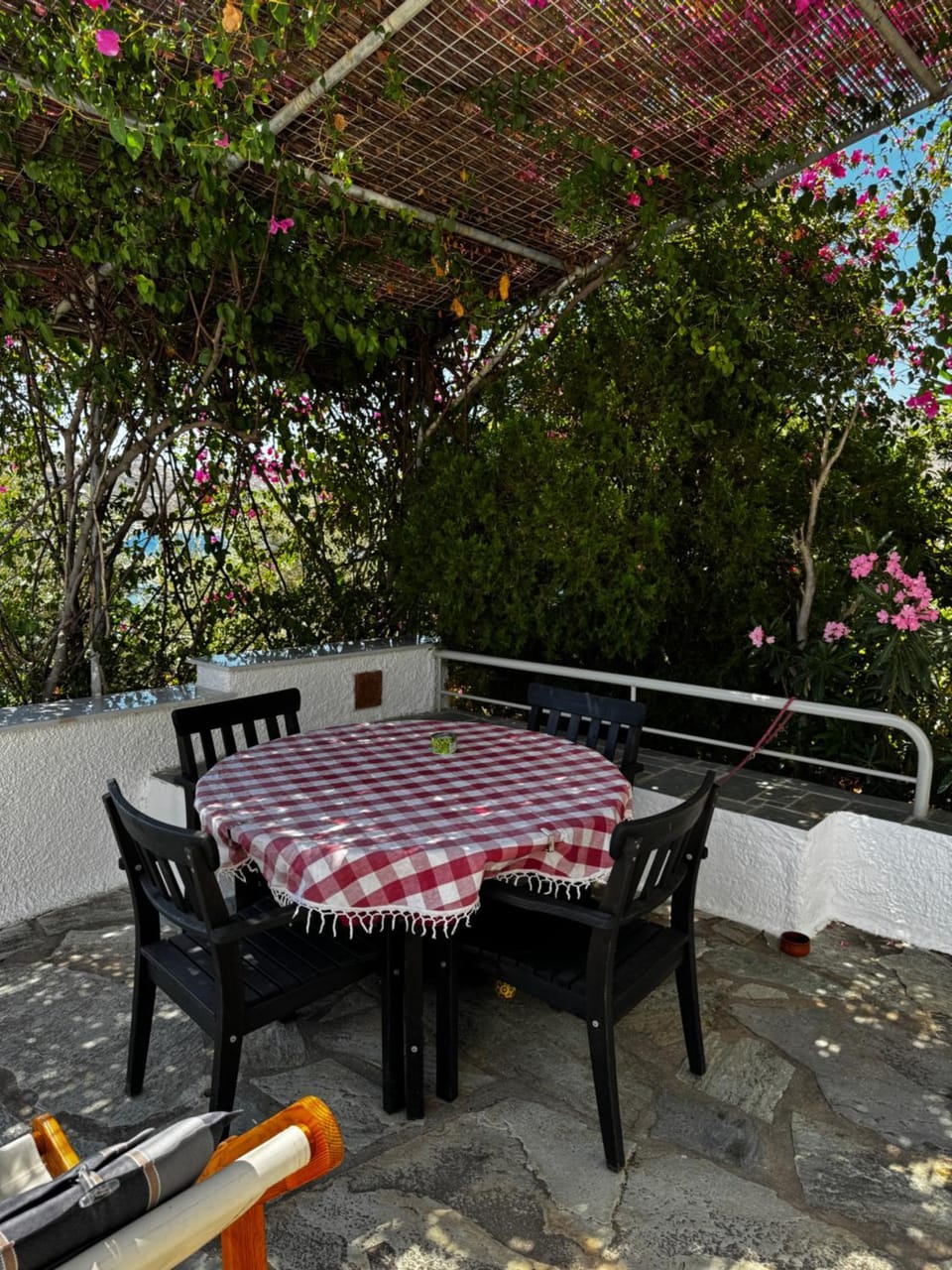 Patio, Dining area