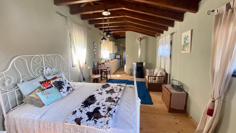 Bed, Living room, Photo of the whole room