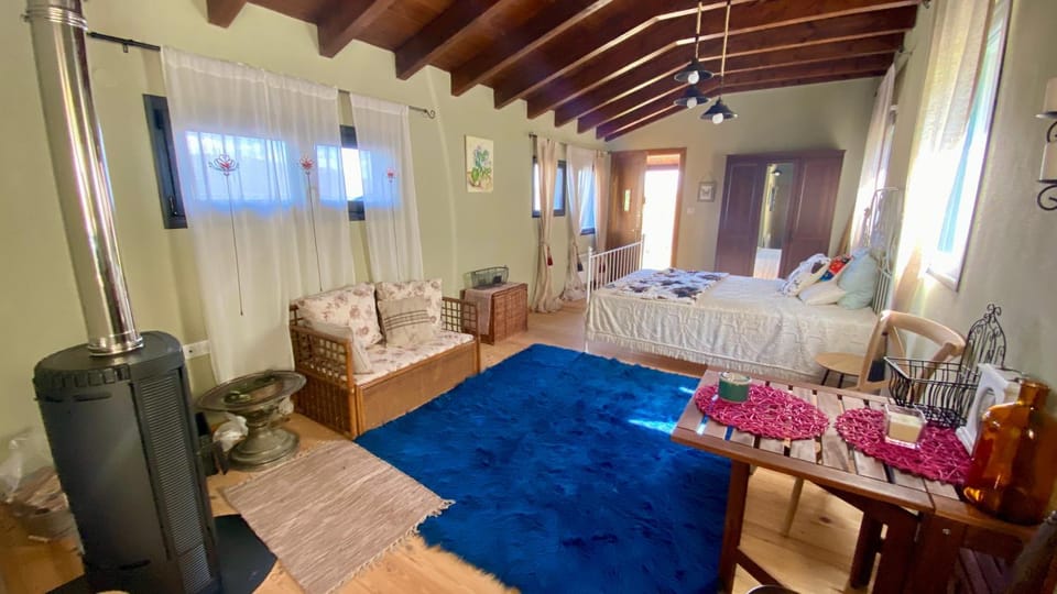 Bed, TV and multimedia, Photo of the whole room, Seating area