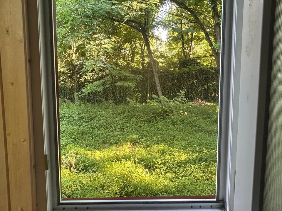 Natural landscape, Garden, Garden view