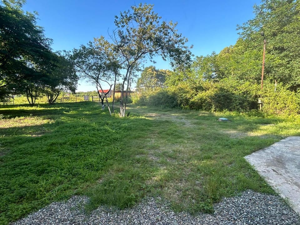 Natural landscape, Garden, Garden view