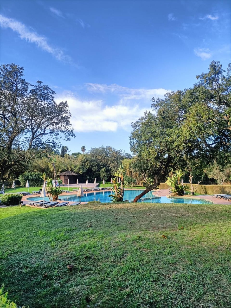 Garden, Garden view, Swimming pool