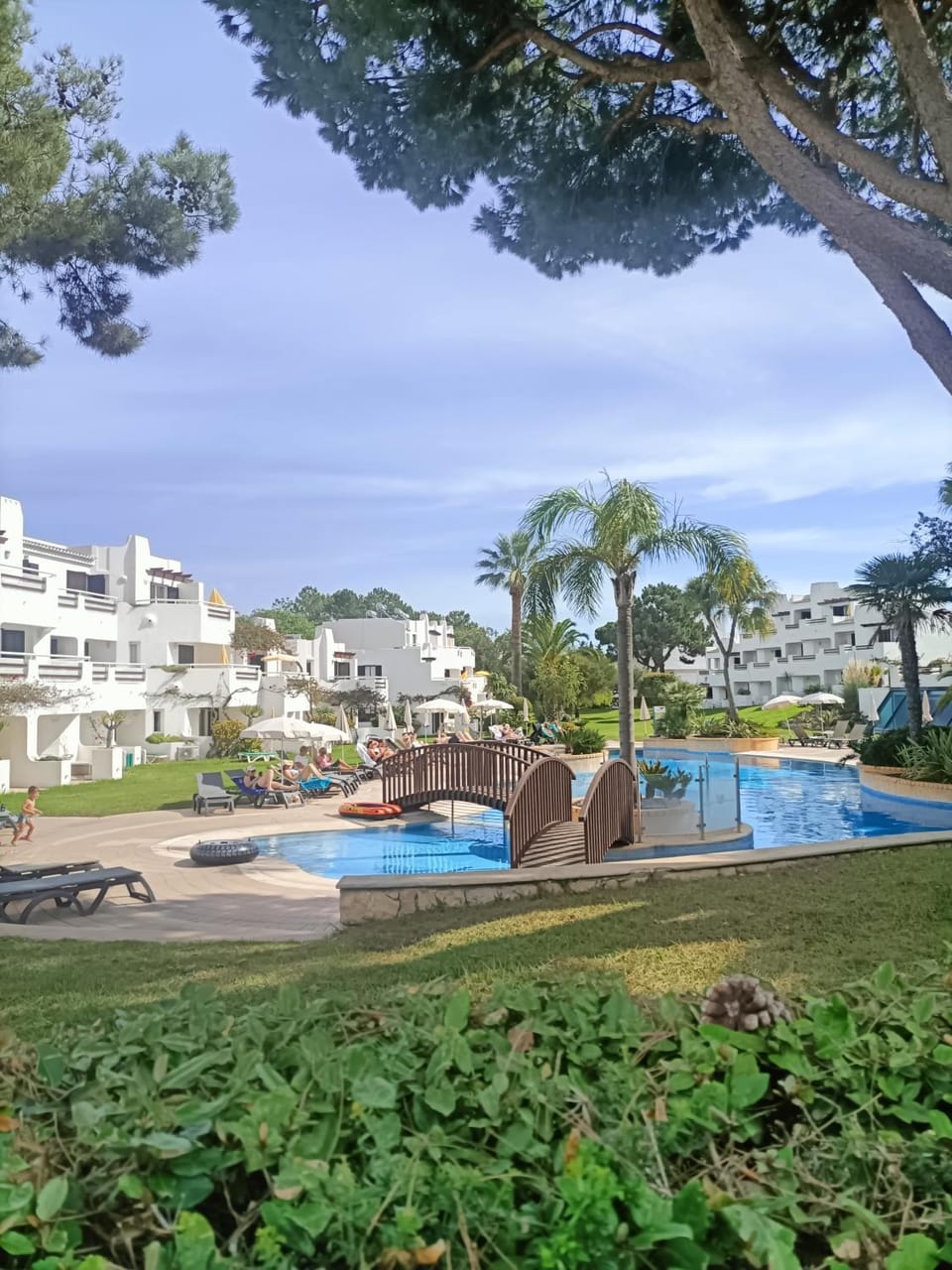 Garden, Pool view, Swimming pool