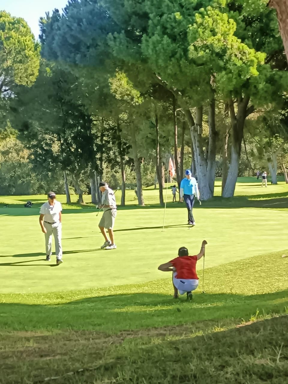 Natural landscape, Golfcourse