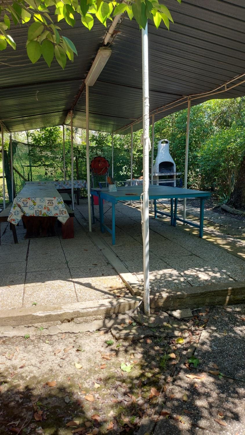 Day, BBQ facilities, Table tennis, Garden view