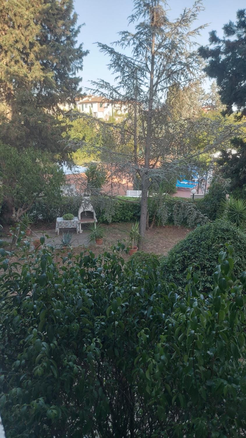 Day, Garden, Garden view
